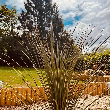 Le Refuge: Maison Detente Et 別荘 *