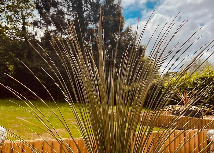 Le Refuge: Maison Detente Et Ferienhaus *
